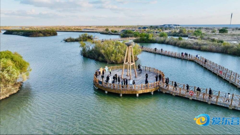 版本解读 版本解读